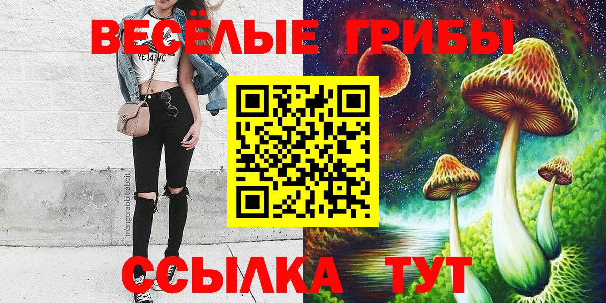 Галлюциногенные грибы Psilocybe Дзержинский