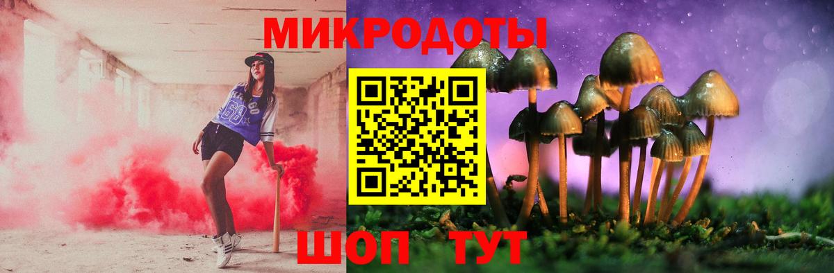 Псилоцибиновые грибы Cubensis  где купить наркотик  Дзержинский  Вход с VPN 